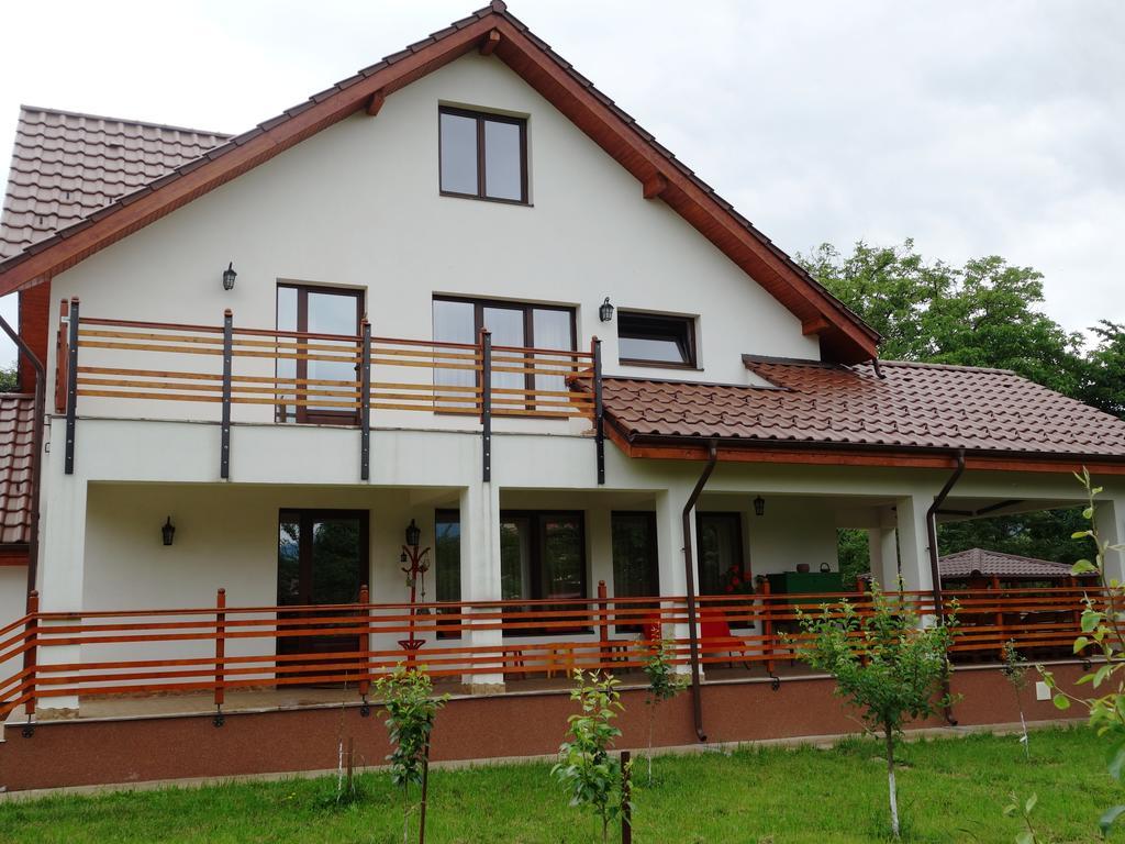 Pensiunea Tania-Nora Alexandru cel Bun Esterno foto