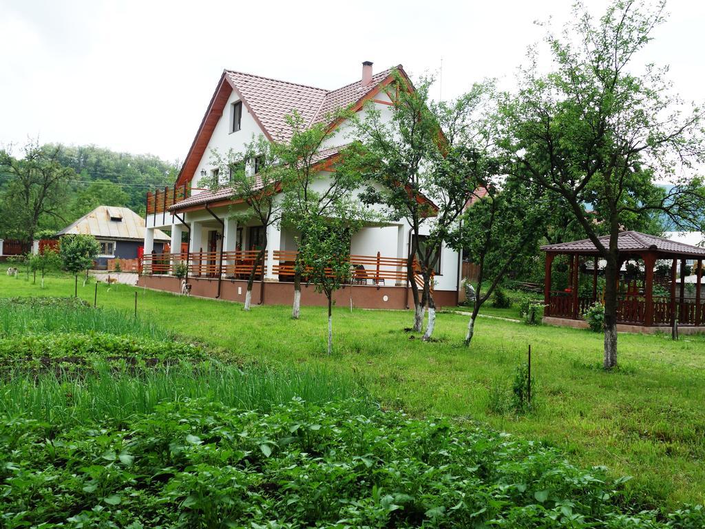 Pensiunea Tania-Nora Alexandru cel Bun Esterno foto